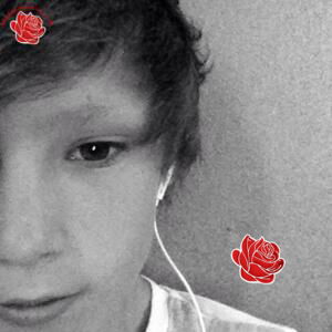 Harry Harris – profile image