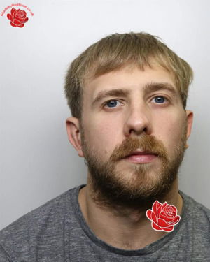 Alexander Rowe – profile image