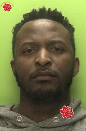 Timilehin Olatunji – profile image