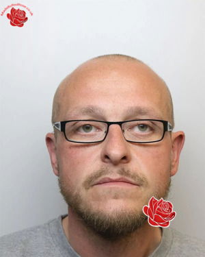 David Collier – profile image