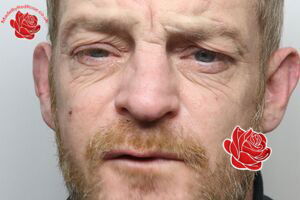Stephen John Bradwell – profile image
