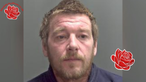 Wayne Freeman – profile image