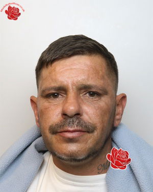Kevin Wolton – profile image
