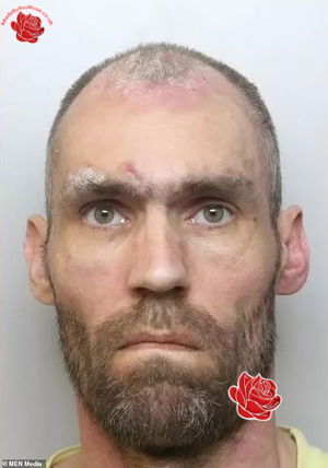 Robert Emmerson – profile image