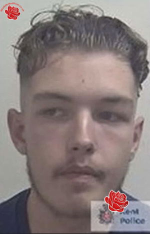 Alfie Baker – profile image