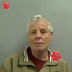 Nigel Collins – profile image