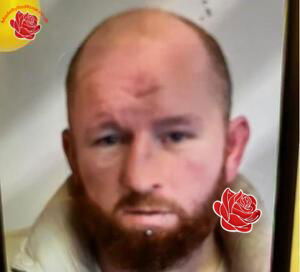 Gary Wynn – profile image