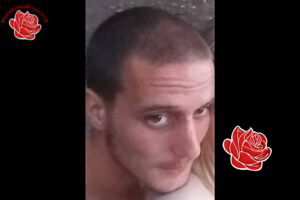 Jesse Cookson – profile image