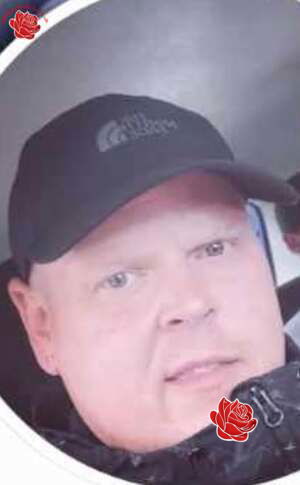 Stephen Scollard – profile image