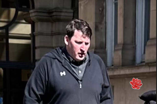 David Bracks – profile image
