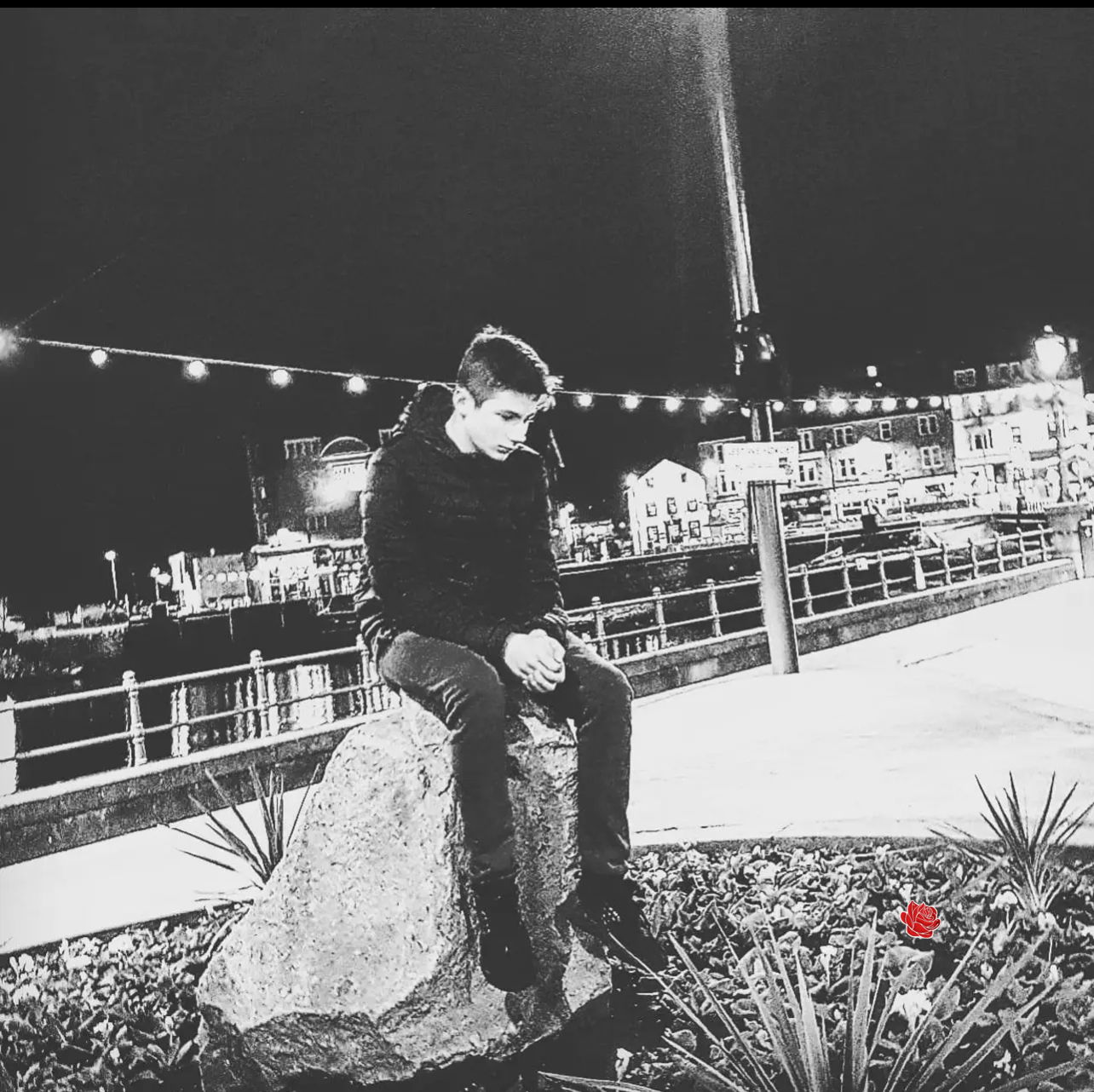 Sean Sneddon  – profile image