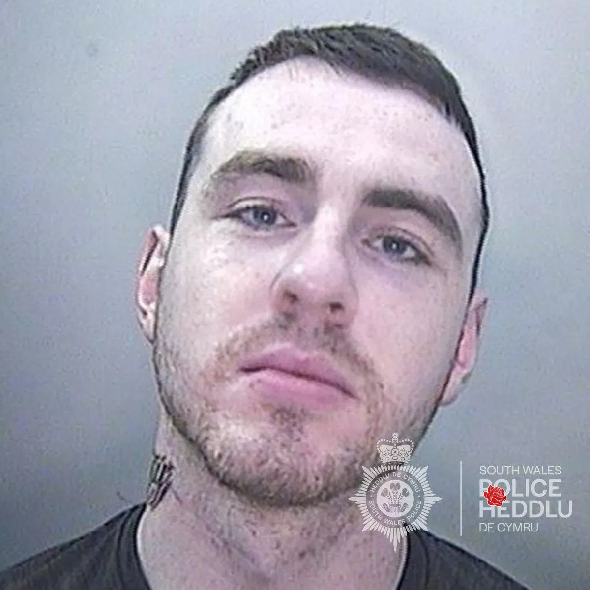 Ethan Owen – profile image