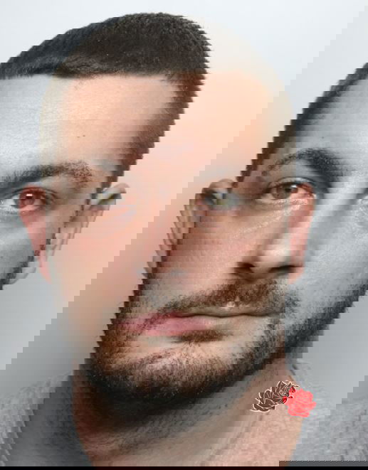 Alex King – profile image