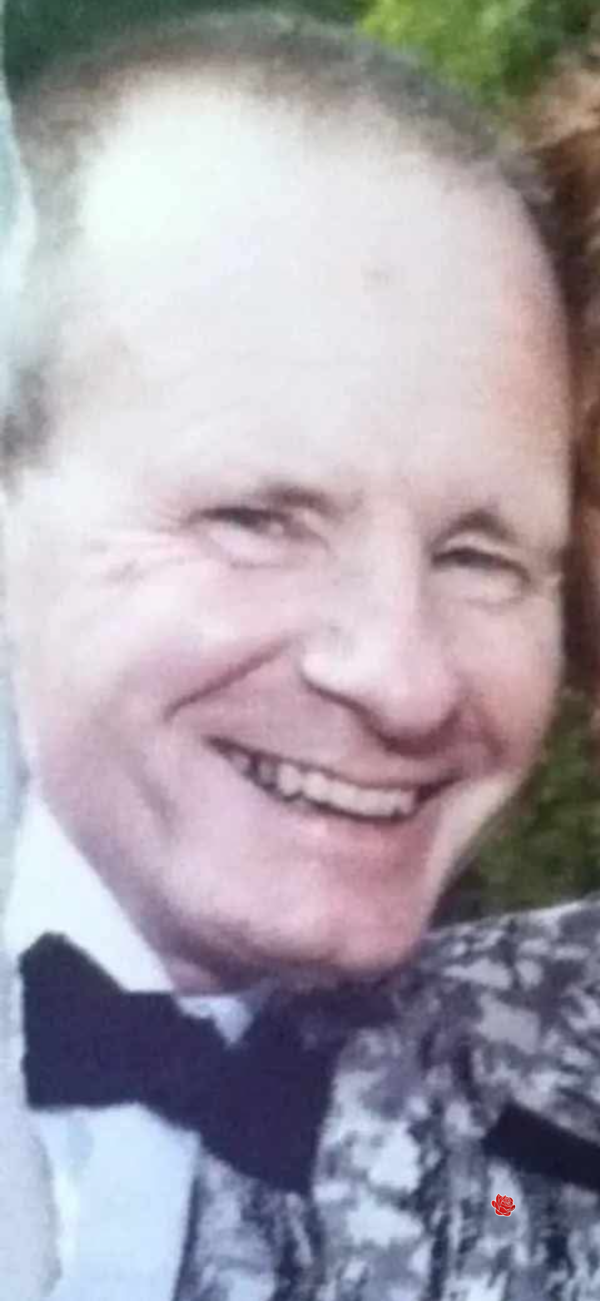 James Robertson – profile image