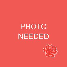 Kevin Fleming – profile image