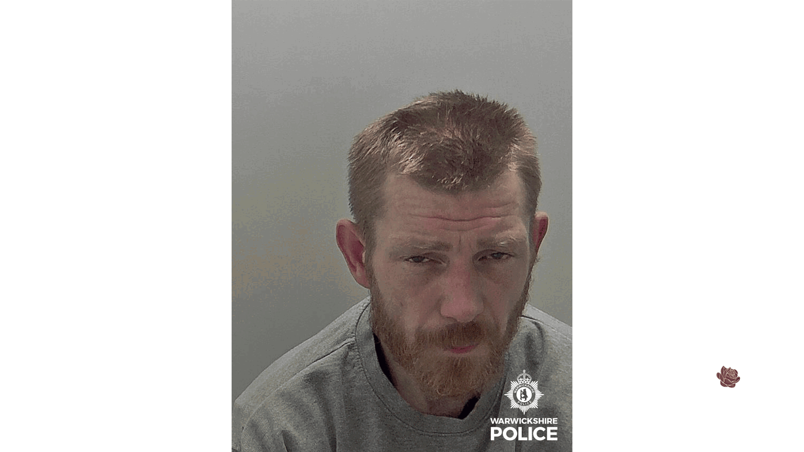 Paul Andrews – profile image