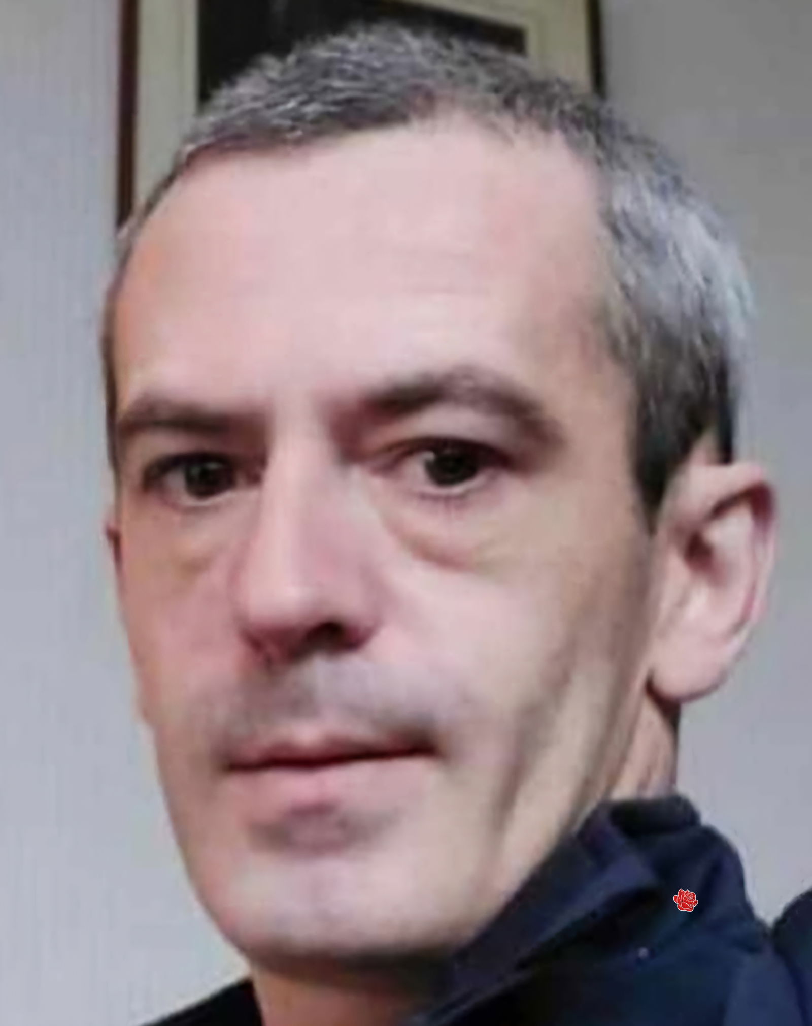 Stewart Ellis – profile image