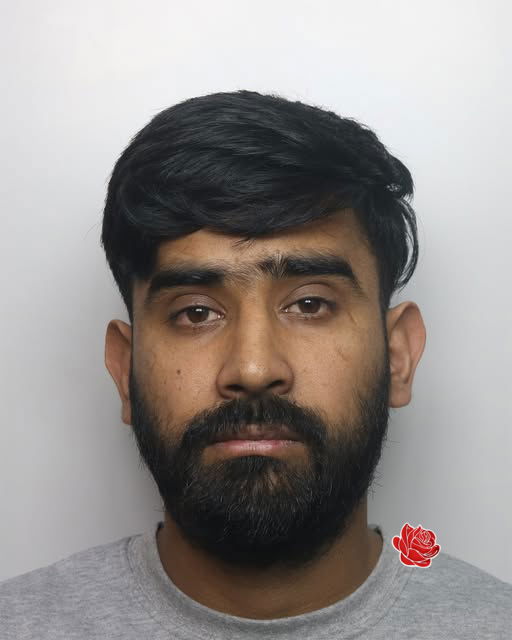 Hamza Javed – profile image