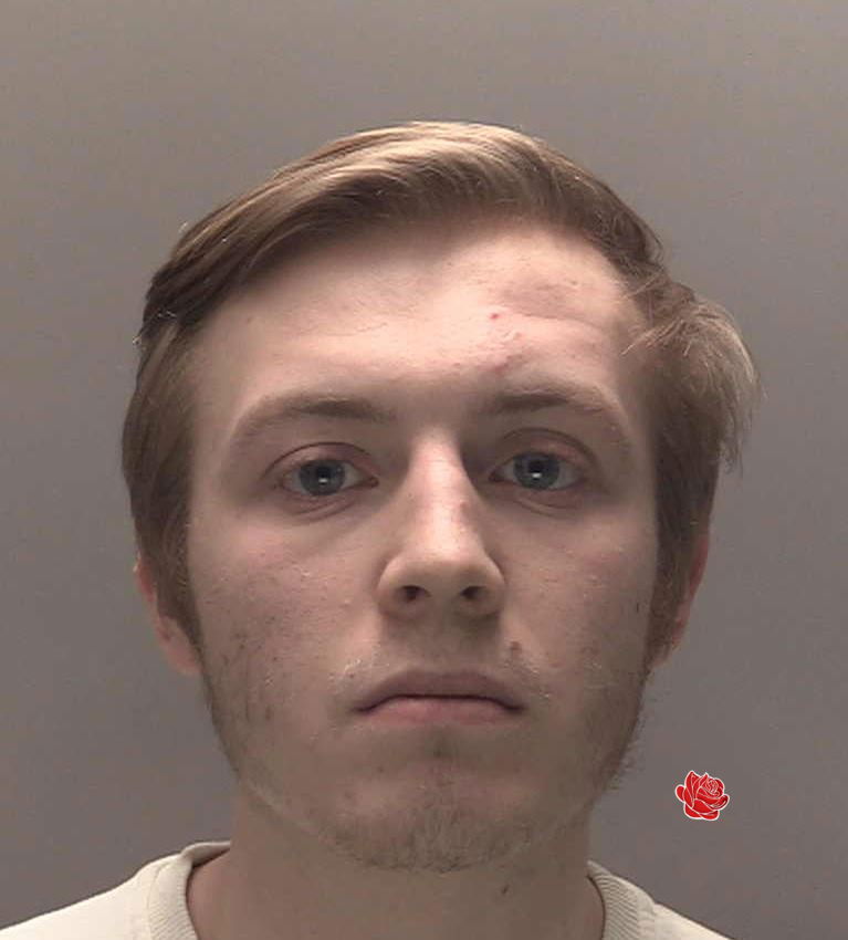 Declan Tracey  – profile image