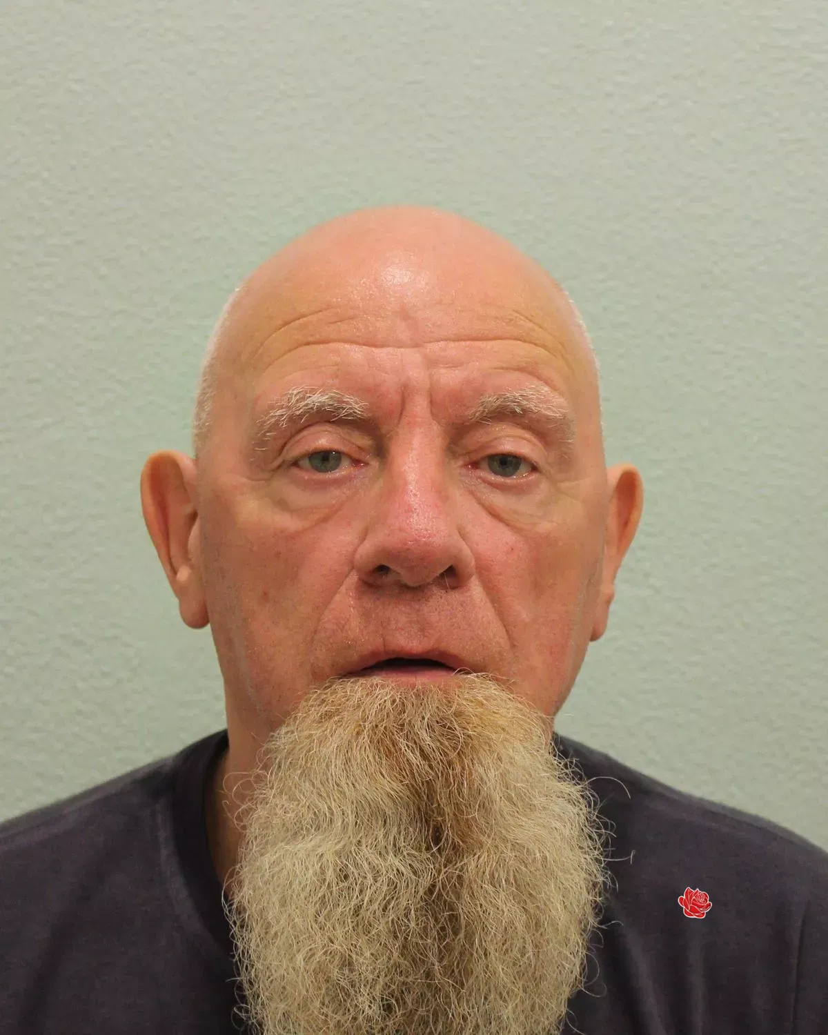 Joseph Galloway – profile image