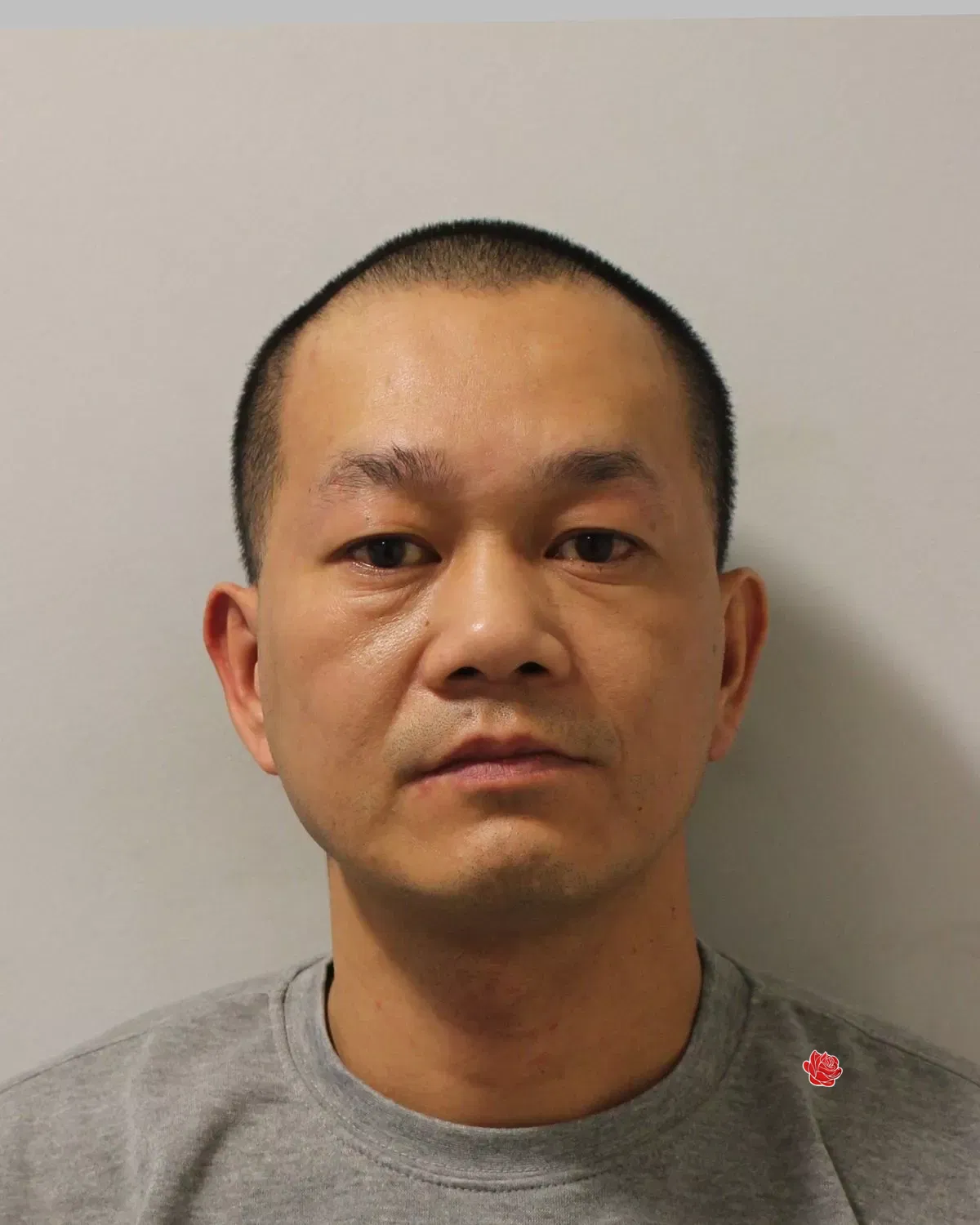 chan – profile image