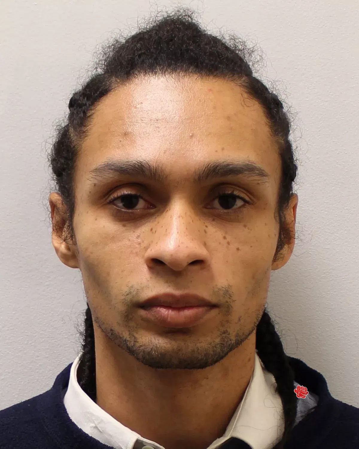 Alexander Philo-Steele – profile image