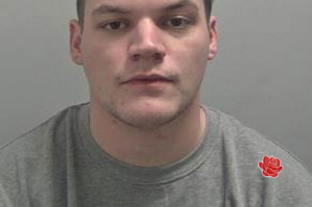 Matthew Whitehall – profile image