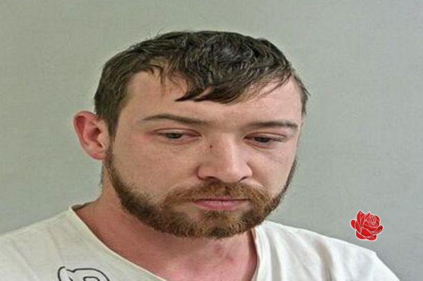 Glen Morley – profile image