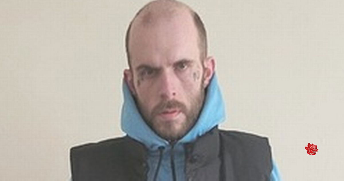 Dean Haddow – profile image
