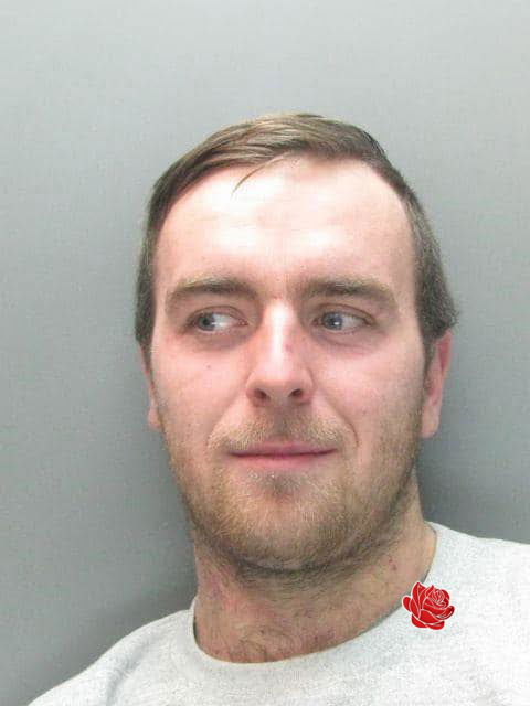 Adam Allison – profile image