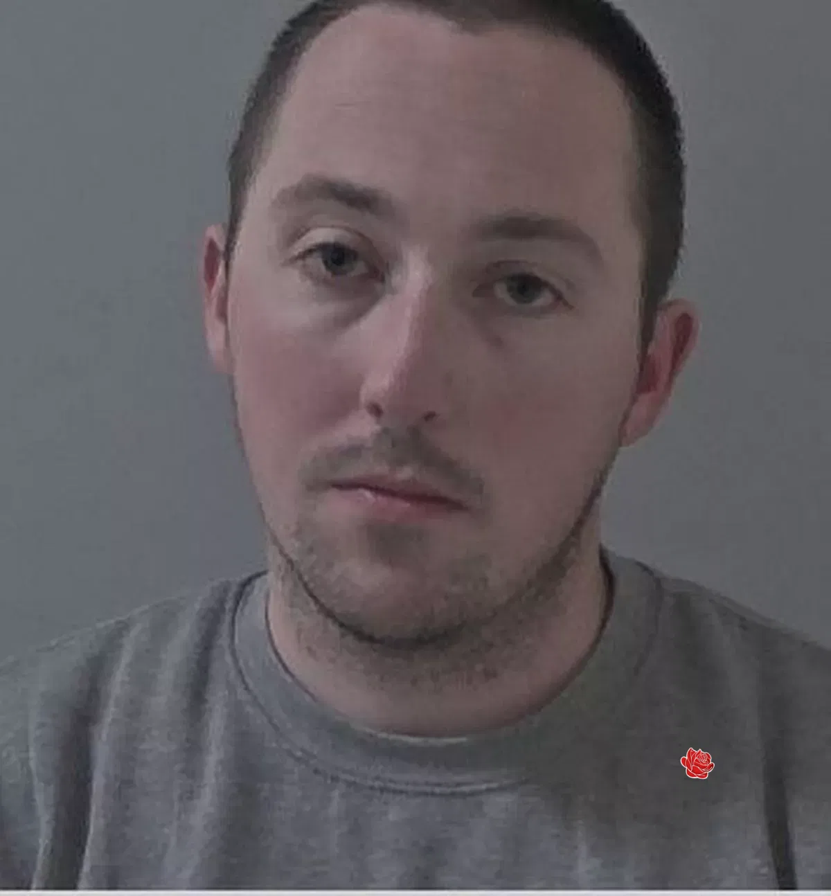 Daniel Holmes – profile image
