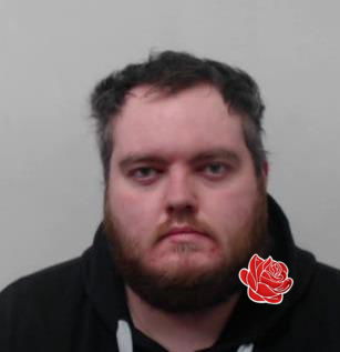 Ross McLeod – profile image