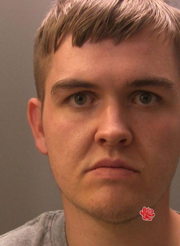 Callum Johnstone – profile image