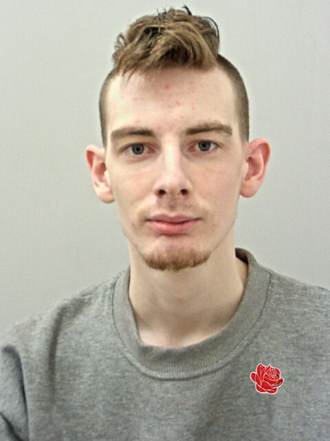 Joseph Turner – profile image