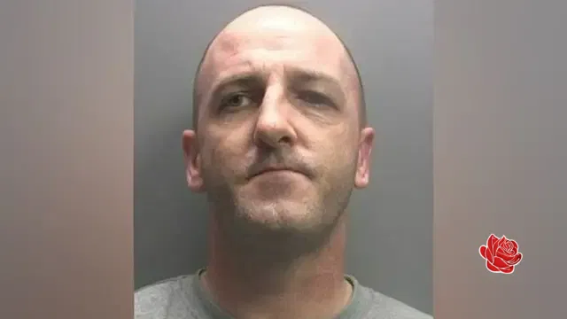 James Wilson – profile image