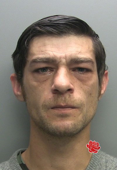 Aaron Lee Wildey – profile image
