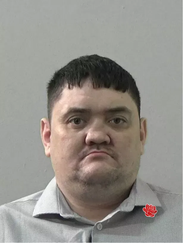 Paul Hughes – profile image