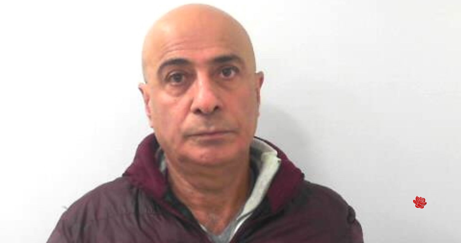 Mahmoud Mohammadi – profile image