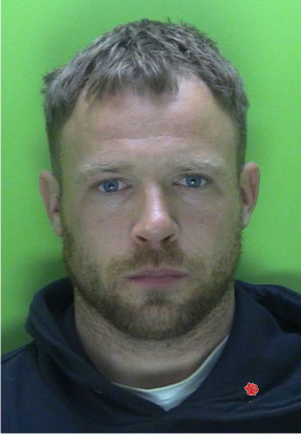 Stewart Carlisle – profile image
