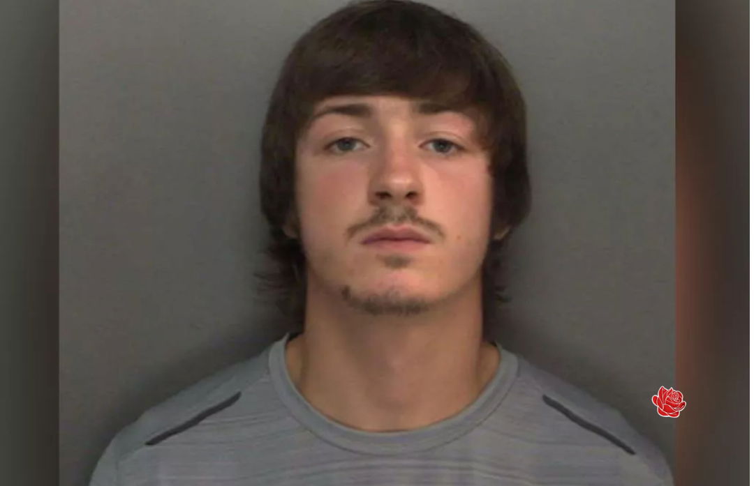 Daniel palmer – profile image