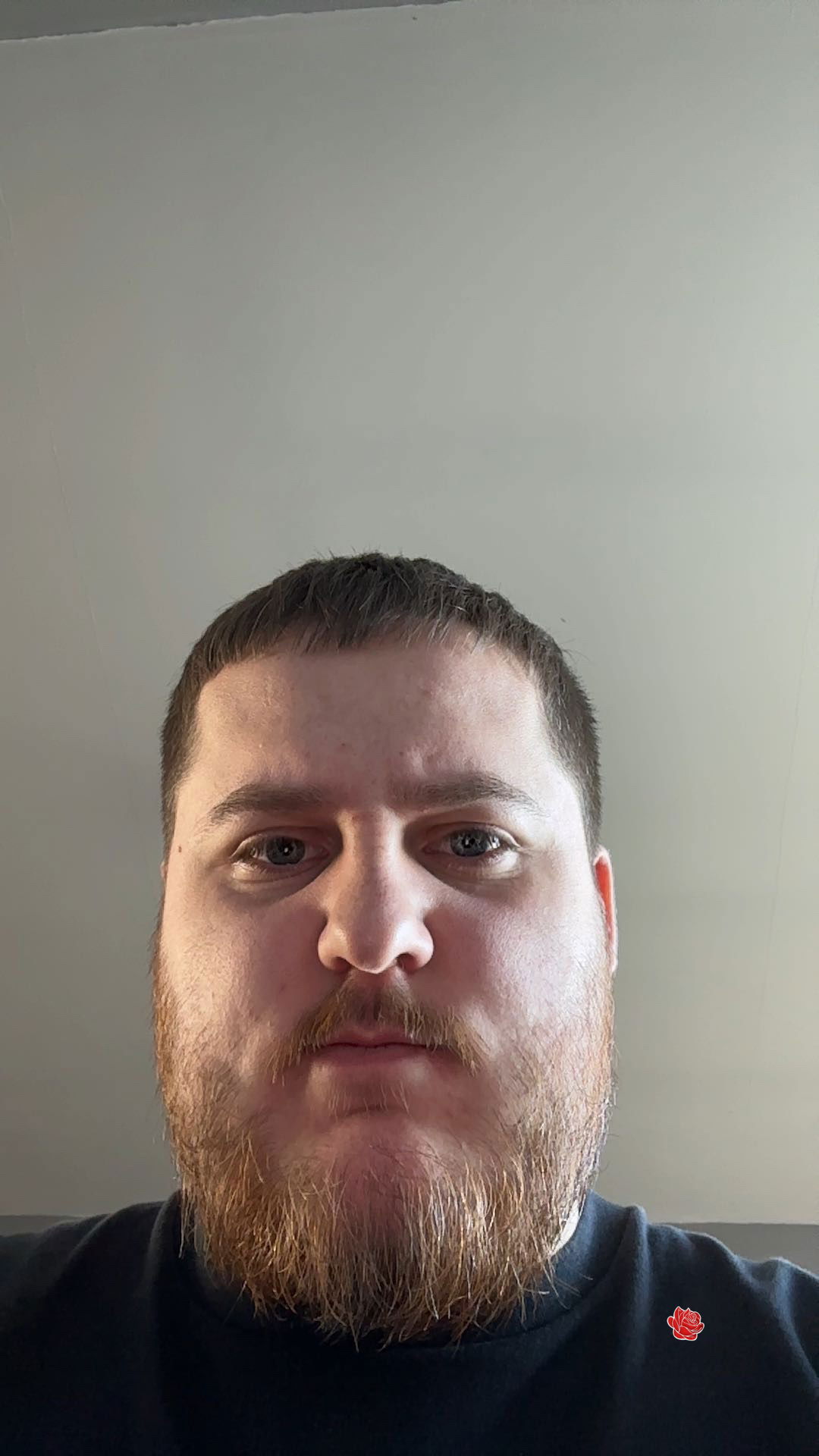 Louie henley – profile image