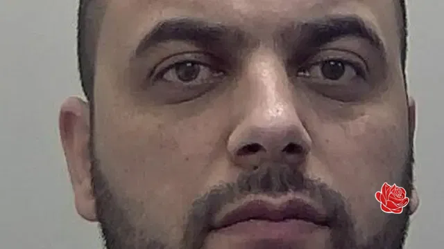 Mohammad Qoraishi – profile image