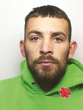 Reece Taylor  – profile image