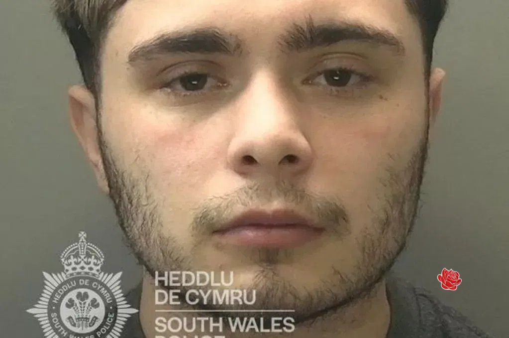 Lewis Ware – profile image