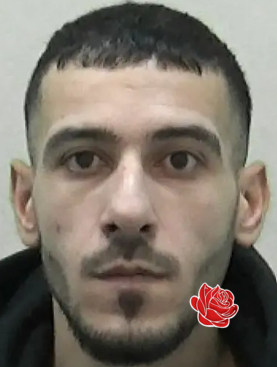 Omar Badreddin – profile image