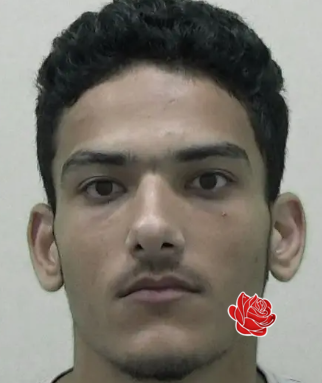 Mohamed Badreddin – profile image