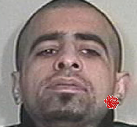 Saqib Younis – profile image
