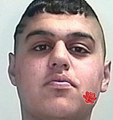Zain Ali – profile image