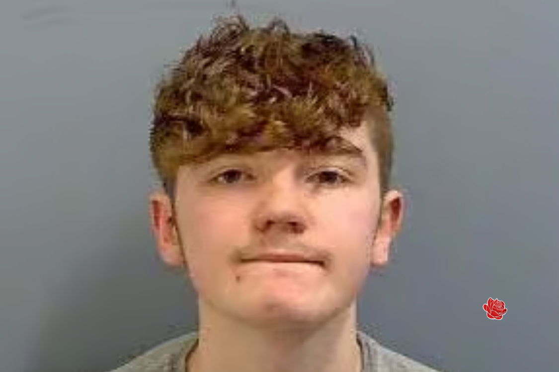 Callum cooper  – profile image