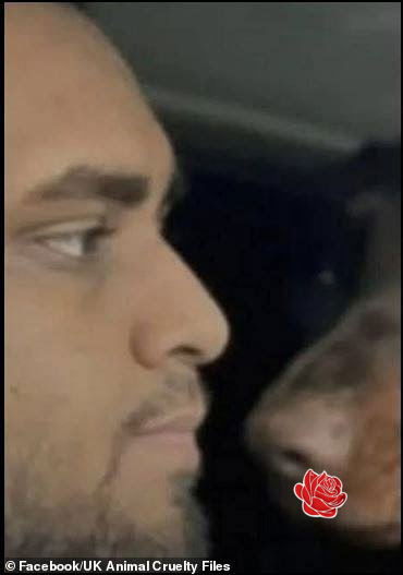 Oaveed Rahman  – profile image